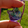 Cat Purple Blue