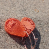 Drop Orange Petri