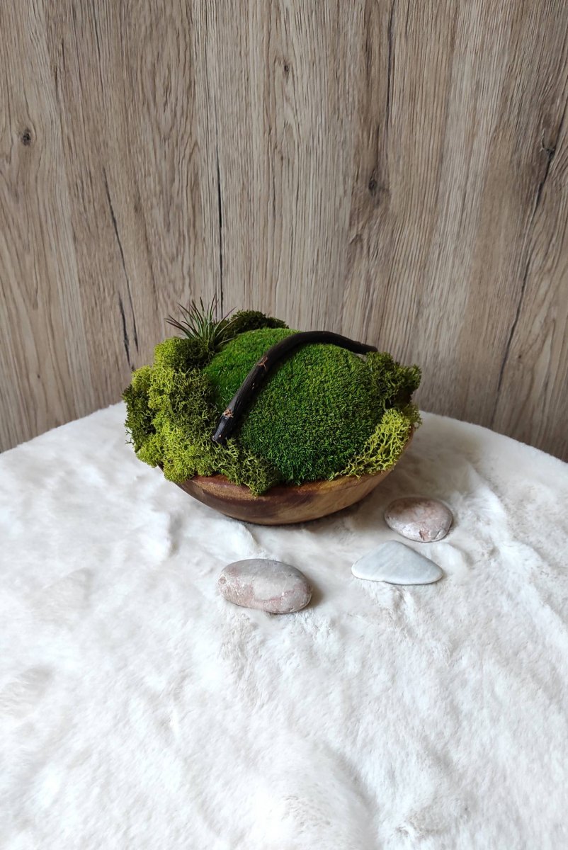 Mechová dekorace v teakové misce 1