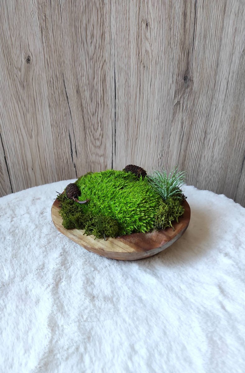 Mechová dekorace v teakové misce 3