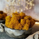 Beton-miska "Mech+curry"