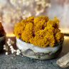 Beton-miska "Mech+curry"