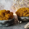 Beton-miska "Mech+curry"