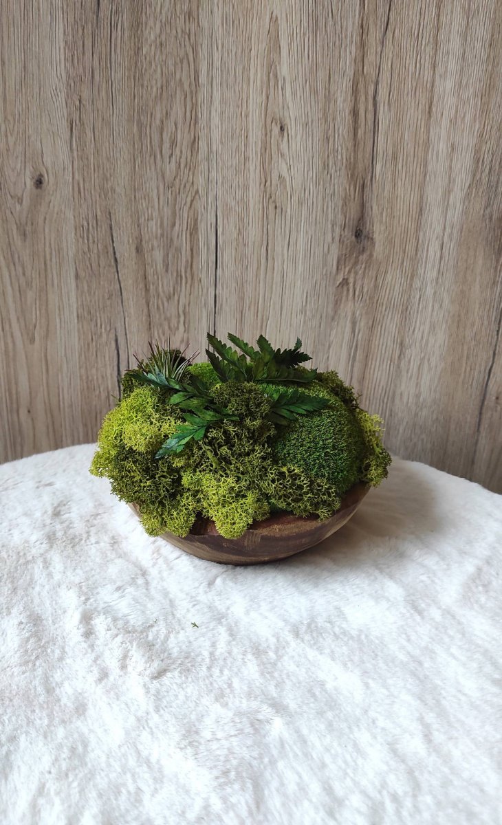 Mechová dekorace v teakové misce 4