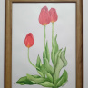 Červené tulipány