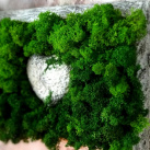 SRDCE V MECHU - OBRÁZEK