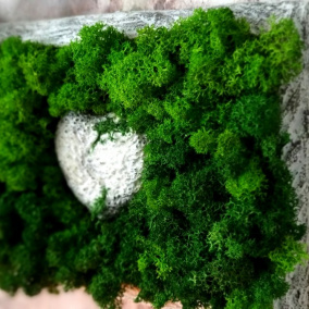 SRDCE V MECHU - OBRÁZEK