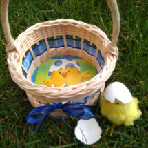 Košíček na 10 vajíček - kuřátko
