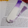 Paw Purple White 
