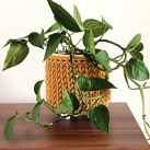 Háčkovaný obal/stojan na květináč okrový