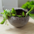 Mušle-beton-světle hnědá+přírodní (s rostlinkami)