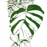 Tričko - Monstera