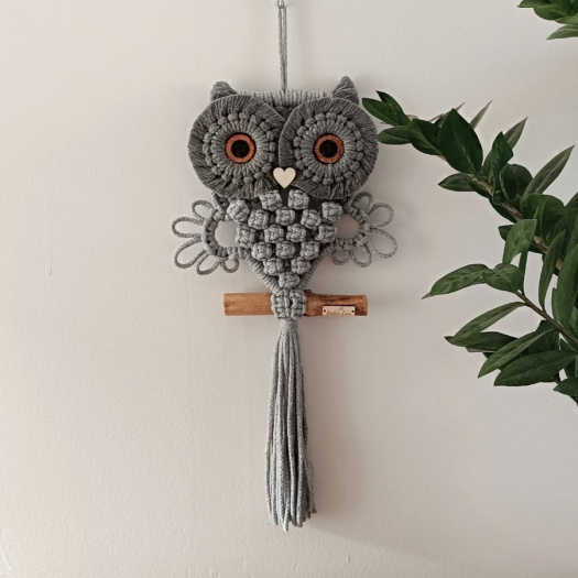 Sovička na větvi šedá s měděnýma očima