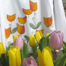 Tulipánové...M