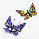 Fialkový motýlek