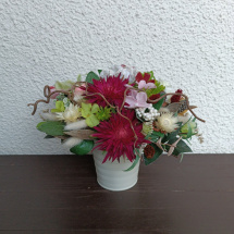 Trvalka s jiřinkami:-)