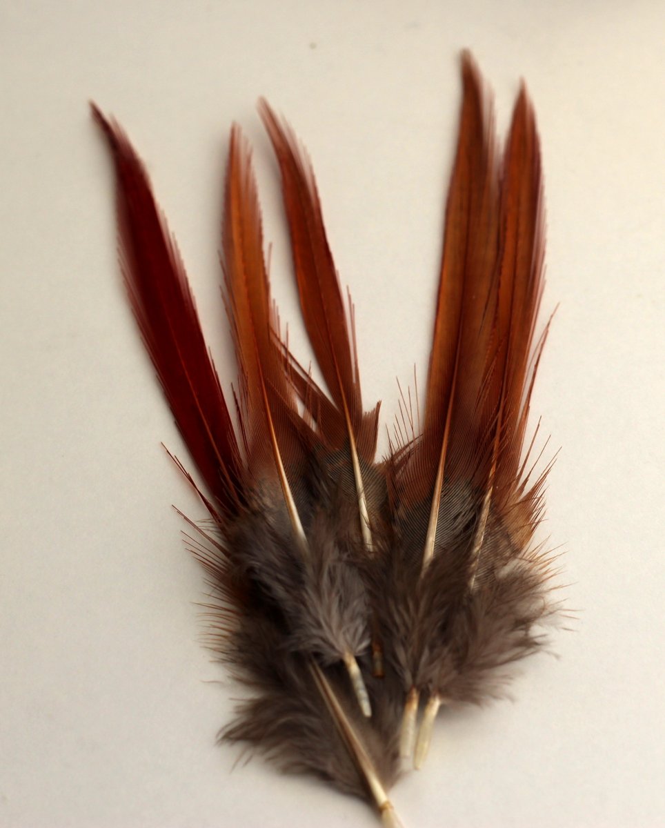 Peří 10-14cm (1ks/bal)