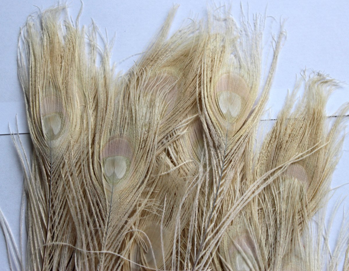 Paví peří béžové 25-30cm (1ks)