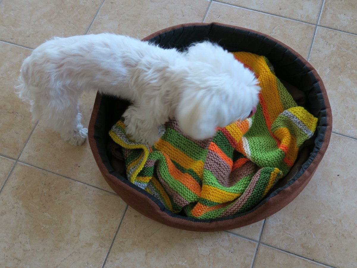 VESELÁ DEKA DO PSÍHO PEÍŠKU