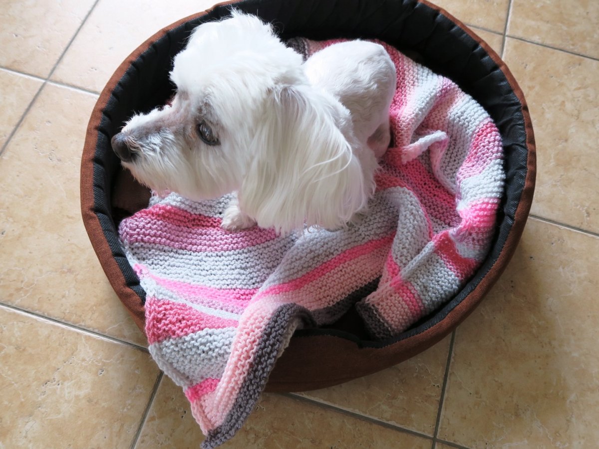 ROMANTICKÁ DEKA DO PSÍHO PELÍŠKU