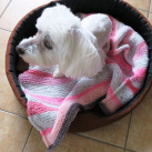 ROMANTICKÁ DEKA DO PSÍHO PELÍŠKU