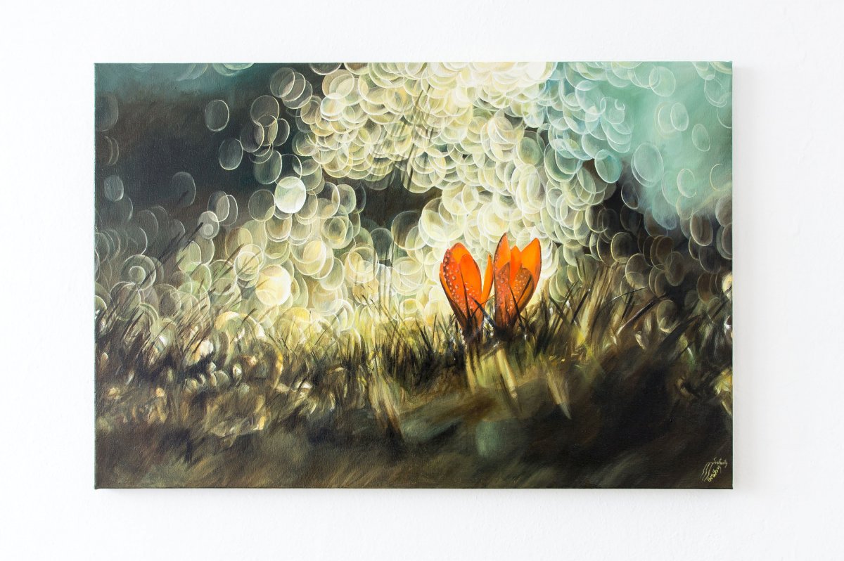 Životodárné paprsky