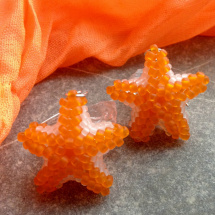 Mořské hvězdice pomerančové