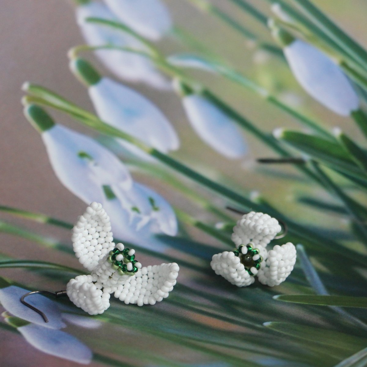 Sněženky uzavřené - a jaro je tu