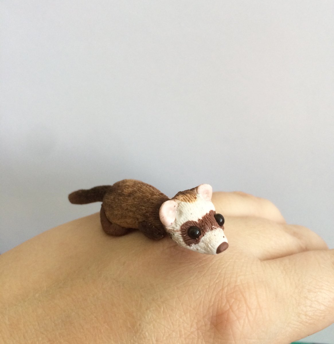 Fretka broz na prani