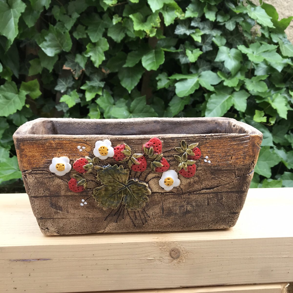 Malý truhlík jahody 