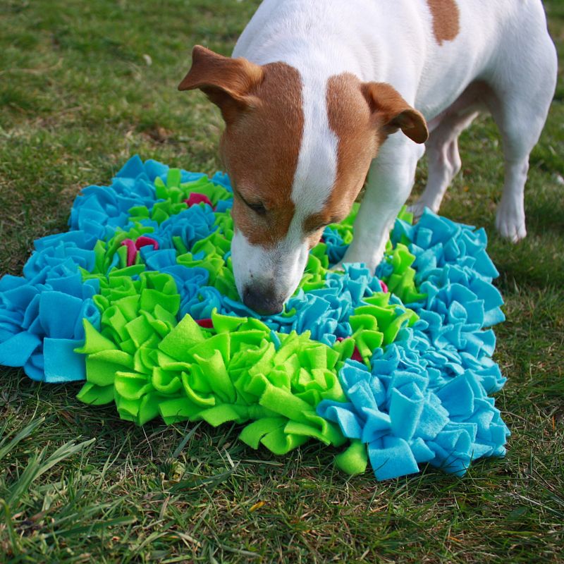 HRAČKA pro pejsky - Čmuchací kobereček STŘEDNÍ