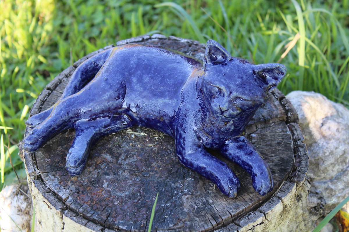 Indigová kočičí kráska...