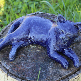 Indigová kočičí kráska...