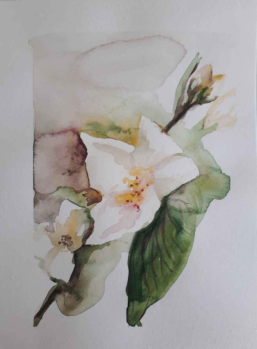 Akvarel originál Jasmín