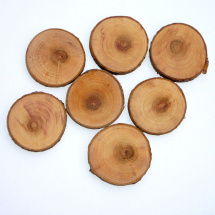 Dřevěná kolečka s kůrou - prům. cca 4 cm