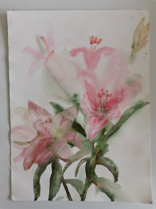 Obraz akvarel originál Růžové lilie