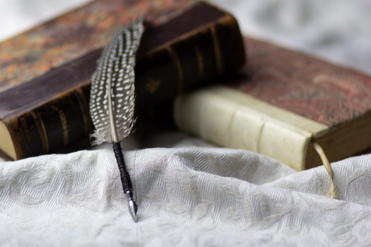 brk na psaní -psací brk se špičkou 