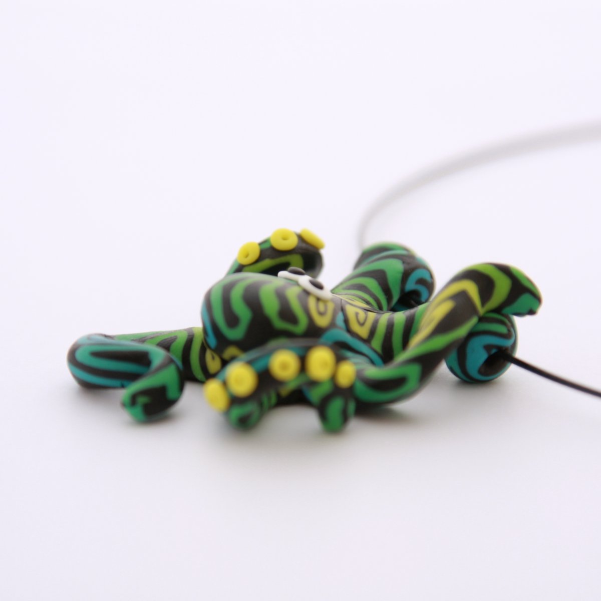 Chobotnička měňavá