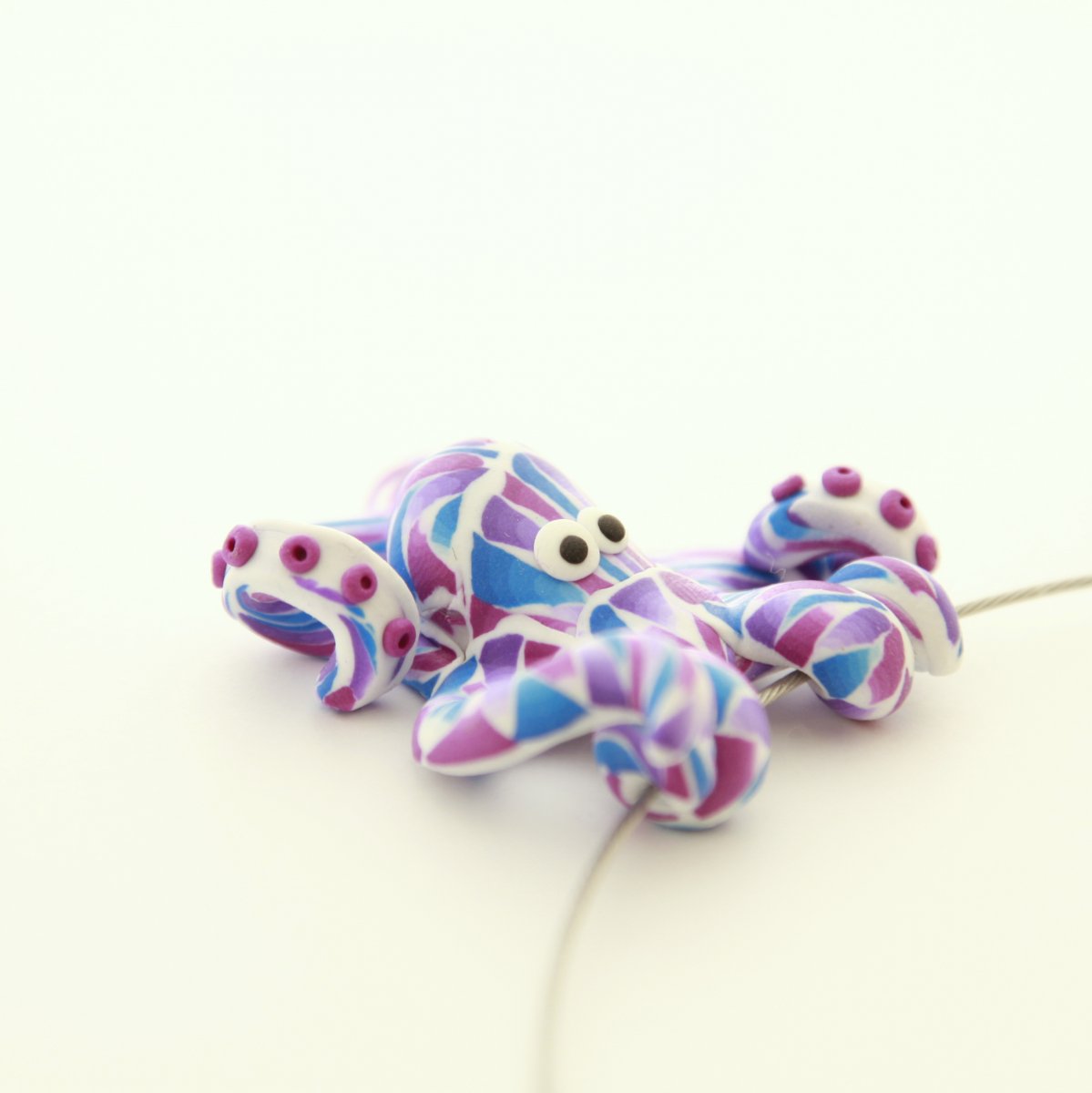 Chobotnička fialovomodrá