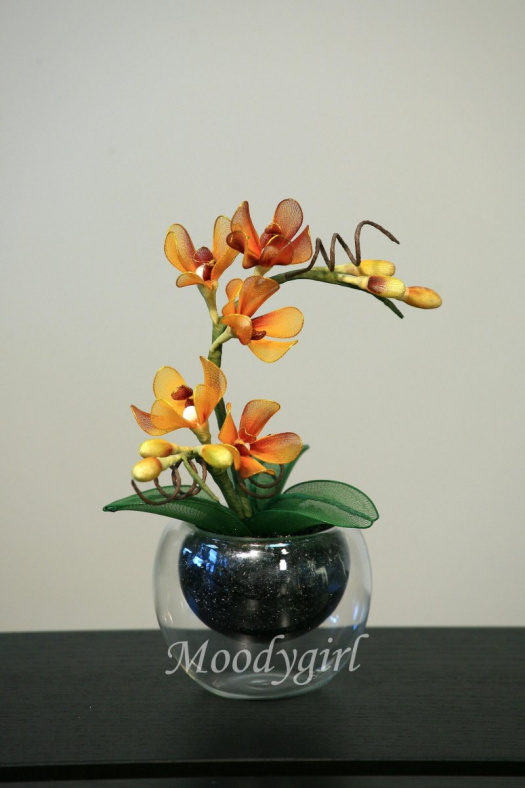 Miniatura - orchidej