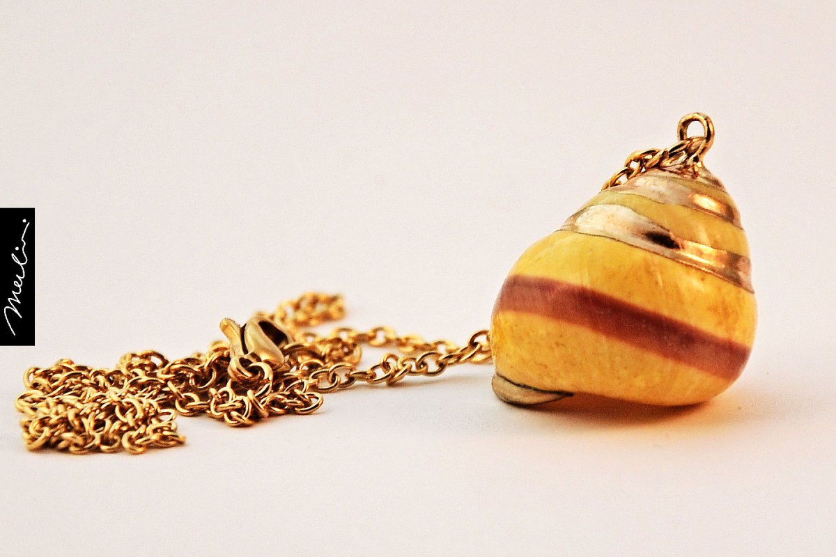 Něžná ulita - pro štěstí - nerezová ocel řetízek