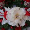 Adventní věnec-barva červená