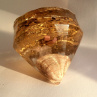 ORGONIT  Diamant *Z moře*,1