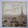Sada - krabice na kapesníky a obrázek - Paris hnědá