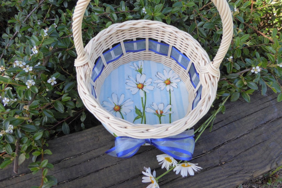 Košíček kopretinový