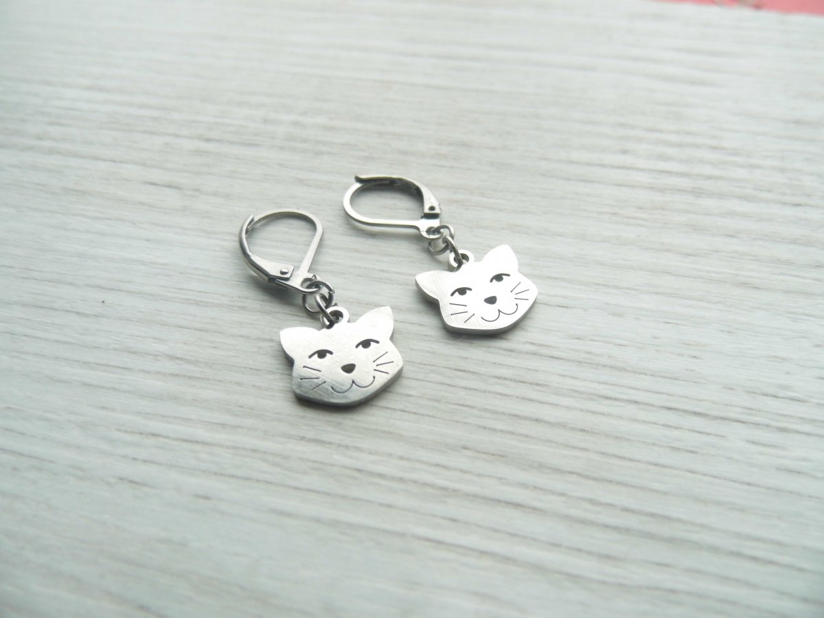 náušnice - chir.ocel