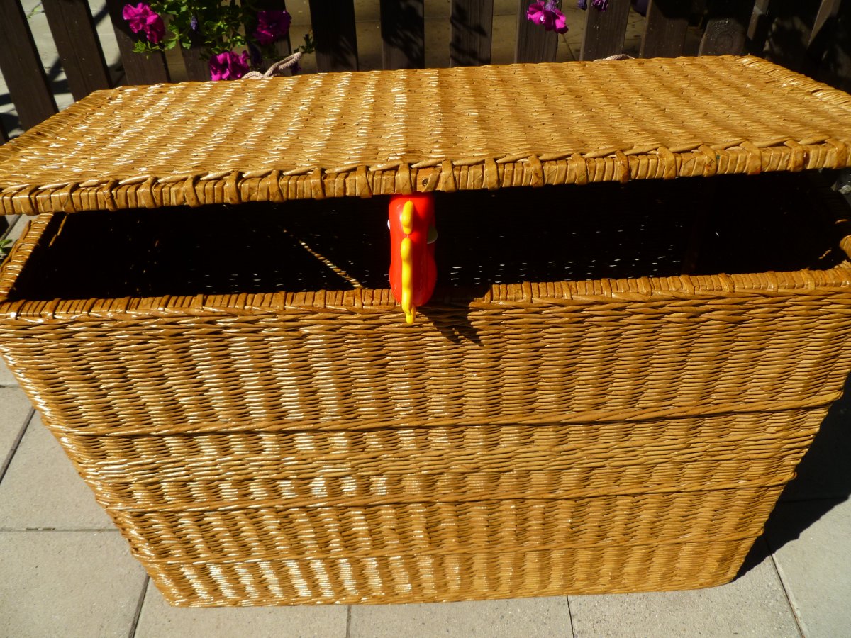 Prádelní koš s víkem