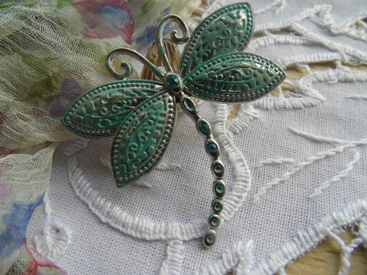 Vážka velká - brož 