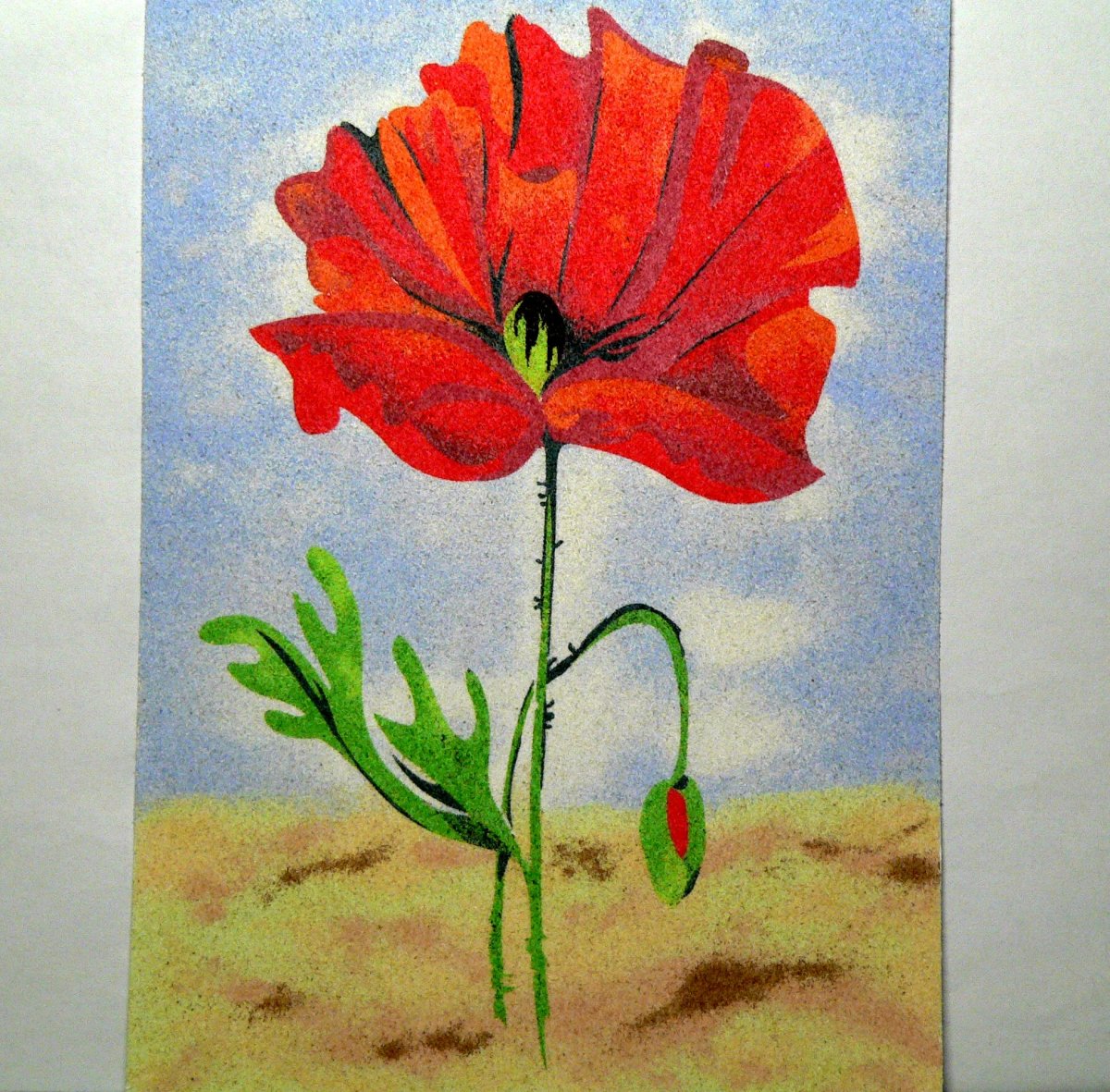 pískový obrázek - vlčí mák