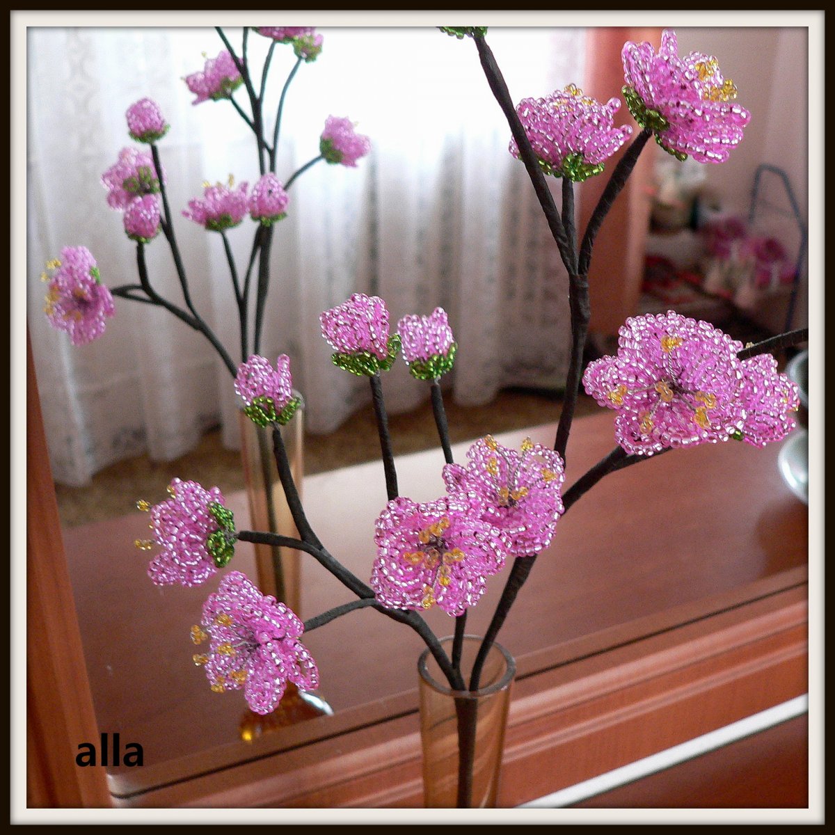 větvička rozkvetlé třešně